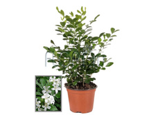 ������� 12�40. 269,85 ���.jpg