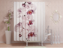 ������� �����.jpg