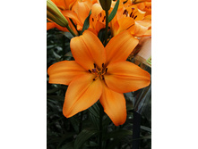 19,74���. ����� ���������(��� 7 ��. ���������� �� 2��.).jpg