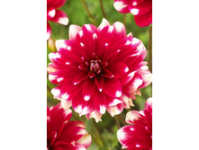 87,8���. �������� ����������(�������� ���� �� 1 ��., ����������� ����� 1��.).jpg