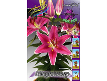 31,52���. ����� ���������(��� 5 ��. ���������� �� 2��.).jpg