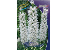 10,26���. ������� �����(�������� ���� �� 10 ��., ����������� ����� 1��.).jpg