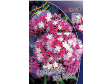 157,9���. ������ ���������� ��� ����(�������� ���� �� 1 ��., ����������� ����� 1��.).jpg