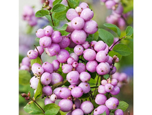 124���. ������������� ������ �� ����.jpg