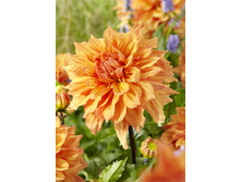 93,8���. �������� ��� �������(�������� ���� �� 1 ��., ����������� ����� 1��.)���17.jpg