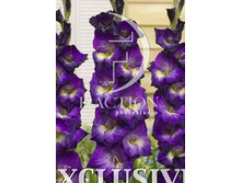 13,2���. ��������� ���� ������(���������� �� ����� �������� �� 7��.)���17.jpg