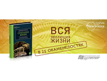 ��������� �����. 25 ����� �������� � ��� ������� �������