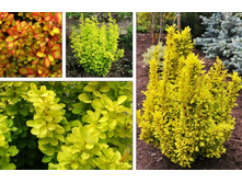 �������� �������� �����-174�.jpg