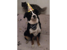 IMG 20161026 191414.jpg