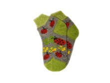 ����� ������� � ������� � ������������ 17-23 ��