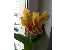 IMG 20151101 125238.jpg