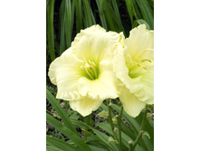 156,3���. �������� ��� ��(�������� ���� �� 1 ��., ����������� ����� 1��.)���17.jpg