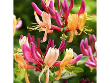 164���. ��������� �������� ���������.jpg