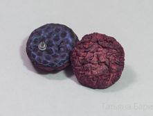 �������� ����, 2500 ���.