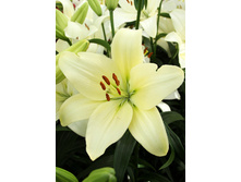 18,9���. ����� �������(��� 7 ��. ���������� �� 2��.)���16.jpg