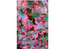 164,2���. ������������ ��������(�������� ���� �� 1 ��., ����������� ����� 1��.).jpg