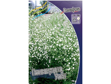 19,1���. ��������� ���������� ����(�������� ���� �� 3 ��., ����������� ����� 1��.).jpg