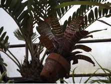 DSCF8149.JPG