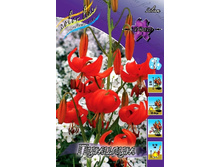 114,22���. ����� �������(�������� ���� �� 5 ��., ����������� ����� 1��.).jpg