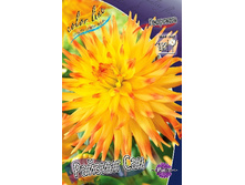 83,5���. �������� ������� ���(�������� ���� �� 1 ��., ����������� ����� 1��.).jpg