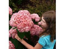 555���. ��������� ����������� Invincibelle ���� ��������.jpg