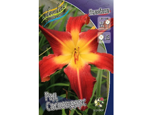 203,7���. �������� ��� ����������(�������� ���� �� 1 ��., ����������� ����� 1��.).jpg