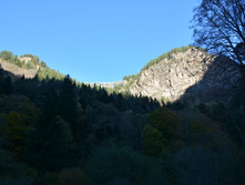 DSC 7083.JPG