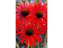 251,1���. �������� ������ ����(�������� ���� �� 1 ��., ����������� ����� 1��.).jpg