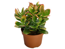 �������� ������ 10�15. 179,55 ���.jpg