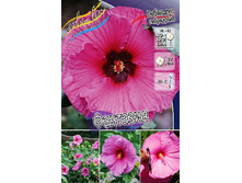 219,5���. �������� ��������� ��������(�������� ���� �� 1 ��., ����������� ����� 1��.).jpg