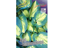 187,9���. ����� ���� ������������(�������� ���� �� 1 ��., ����������� ����� 1��.).jpg