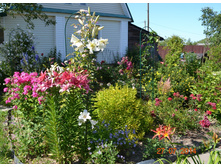 ����� ������ �����.JPG