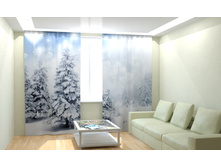 ��� ��� 12.jpg