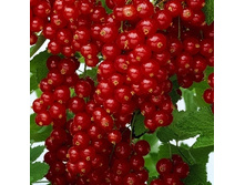 157���. ��������� ������� �������.jpg