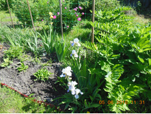 DSCN2110.JPG
