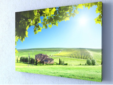 ����������� 1-1.jpg