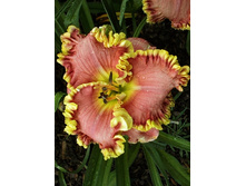 203,7���. �������� ������� ������(�������� ���� �� 1 ��., ����������� ����� 1��.).jpg