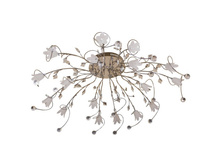 294011618 10200�.jpg