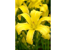 156,3���. �������� ����� �������(�������� ���� �� 1 ��., ����������� ����� 1��.)���16.jpg