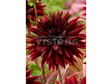 83,5���. �������� ������(�������� ���� �� 1 ��., ����������� ����� 1��.)���16.jpg