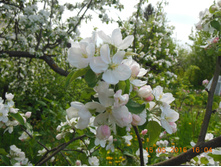 DSCN2105.JPG