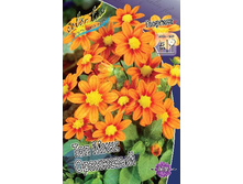 70,7���. �������� ��� ���� ���������(�������� ���� �� 1 ��., ����������� ����� 1��.).jpg