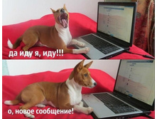 ���������� ����������)