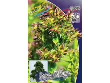 98,7���. ����� ���� �����(�������� ���� �� 2 ��., ����������� ����� 1��.).jpg