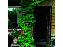 179���. ��������� ������ �����.jpg