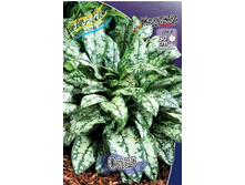 91,6���. �������� ����(�������� ���� �� 1 ��., ����������� ����� 1��.).jpg