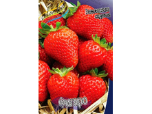 31,26���. ��������� ������� ������(���������� ������ ������ ����������. � �������� 5 ��.).jpg