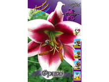 40,8���. ����� �����(��� 5 ��. ���������� �� 2��.).jpg