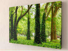 ���� 1-1.jpg