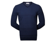 ������������ ������� (1313) �����